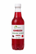 Hibiscus Kombucha